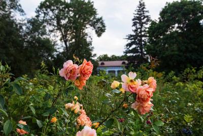 Прикрепленное изображение: IMG_8824.jpg